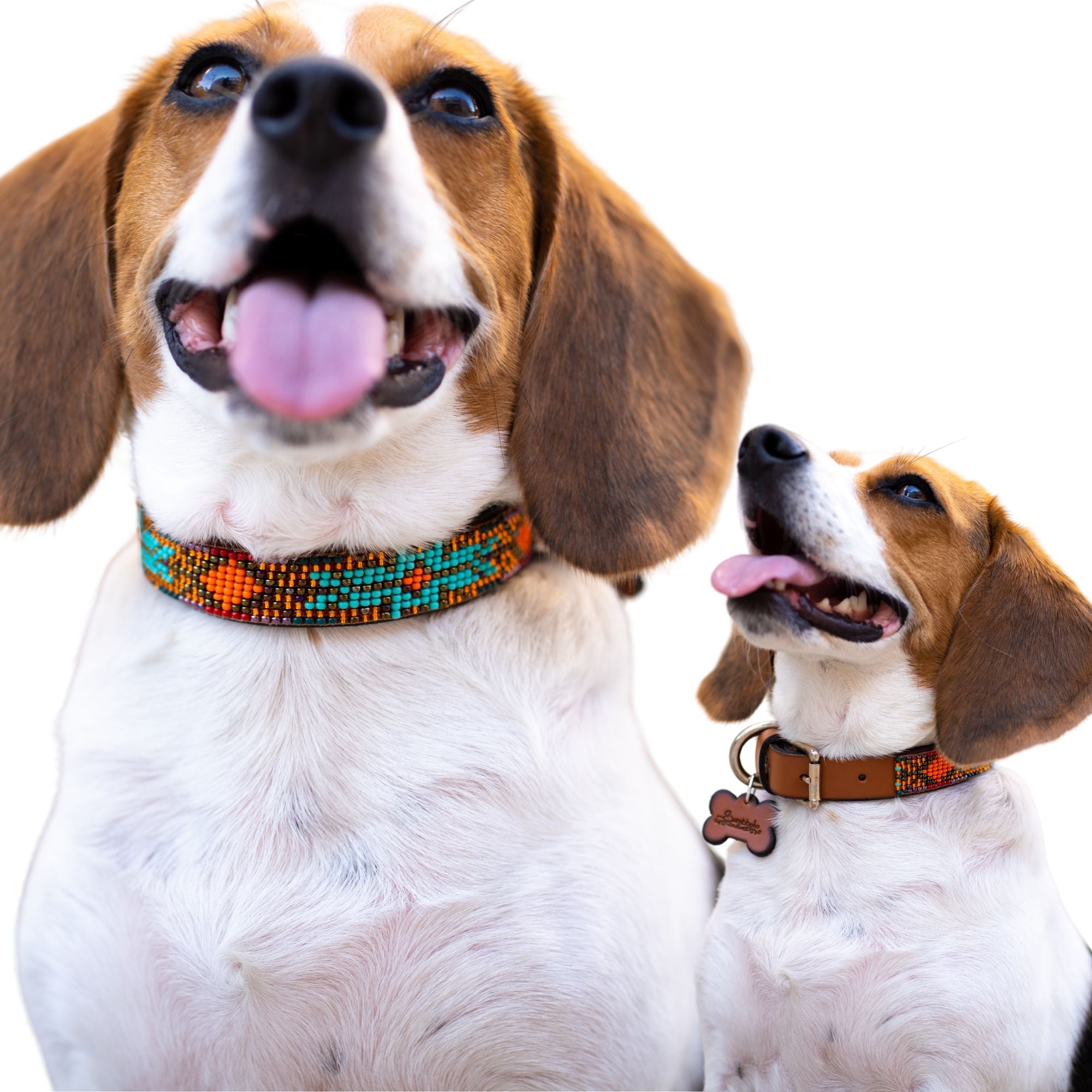 Sardinia Sambboho dog collar (Glam Collection)