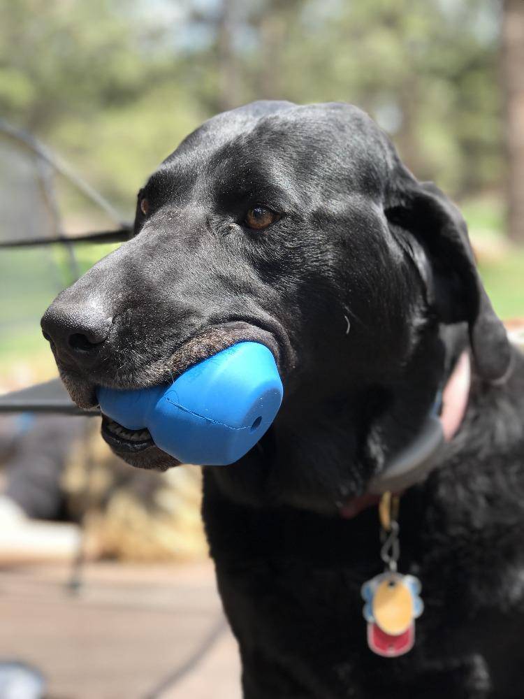 Double Trouble Durable Rubber Chew Toy and Treat Dispenser