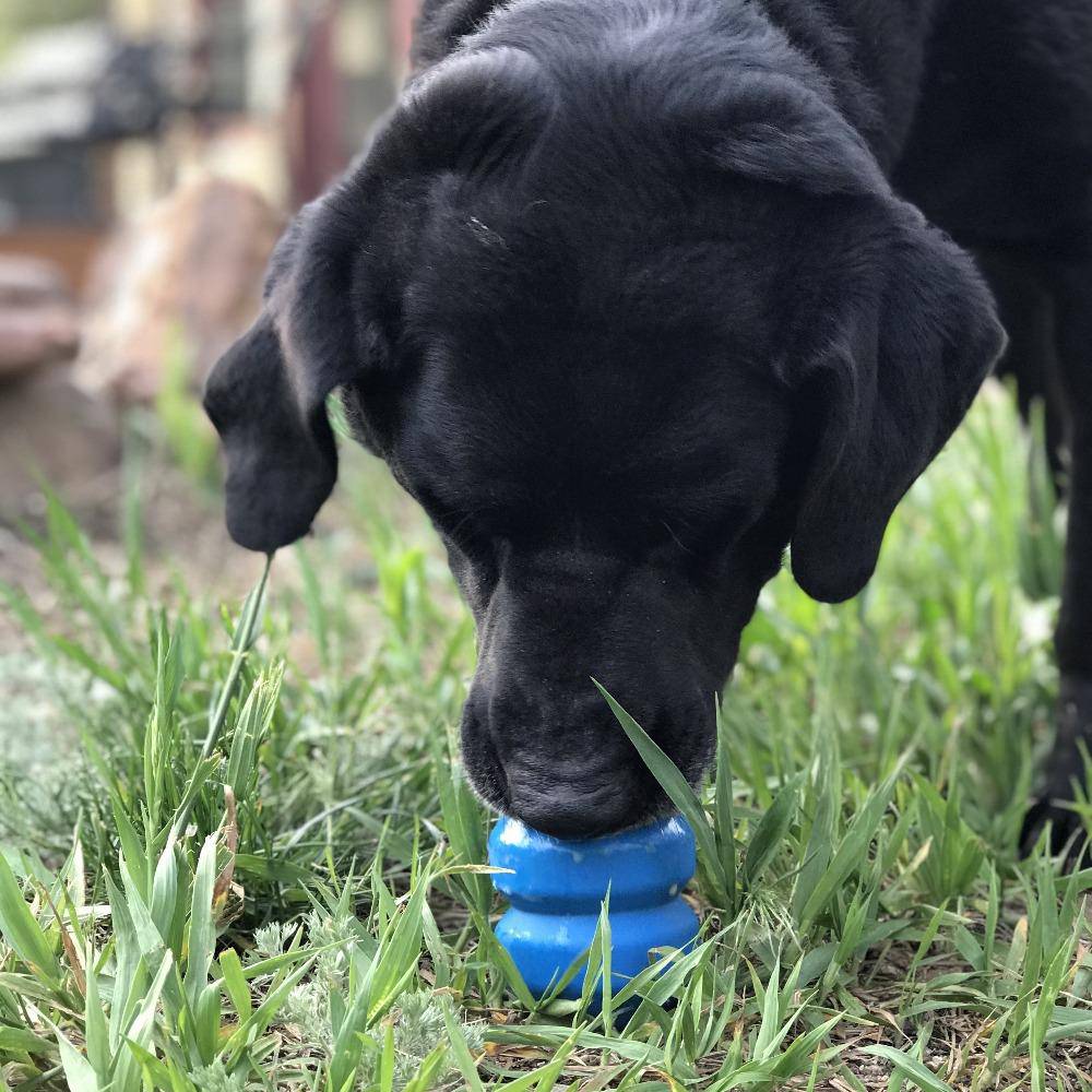 Double Trouble Durable Rubber Chew Toy and Treat Dispenser