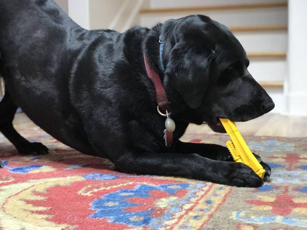 Pipe Wrench  Ultra Durable Nylon Dog Chew Toy