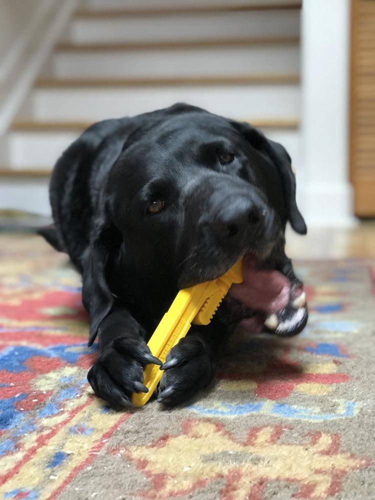 Pipe Wrench  Ultra Durable Nylon Dog Chew Toy