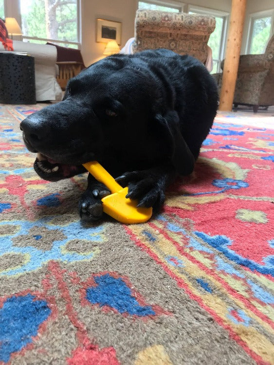 Shovel Ultra Durable Nylon Dog Chew Toy
