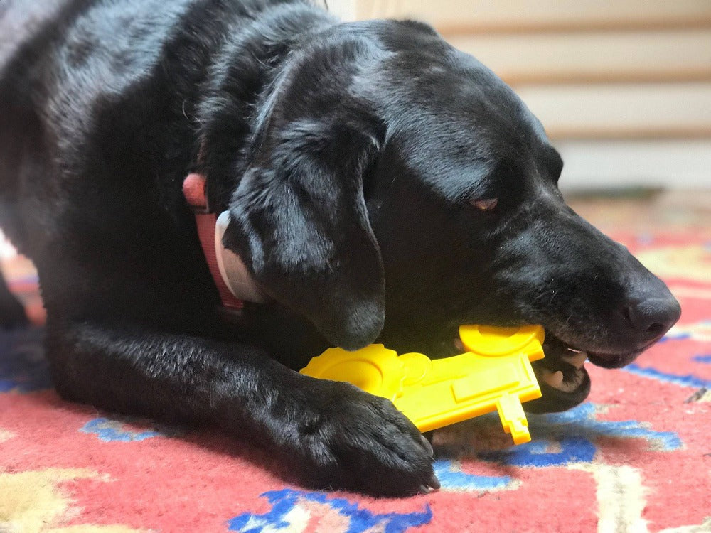 Tractor  Ultra Durable Nylon Dog Chew Toy