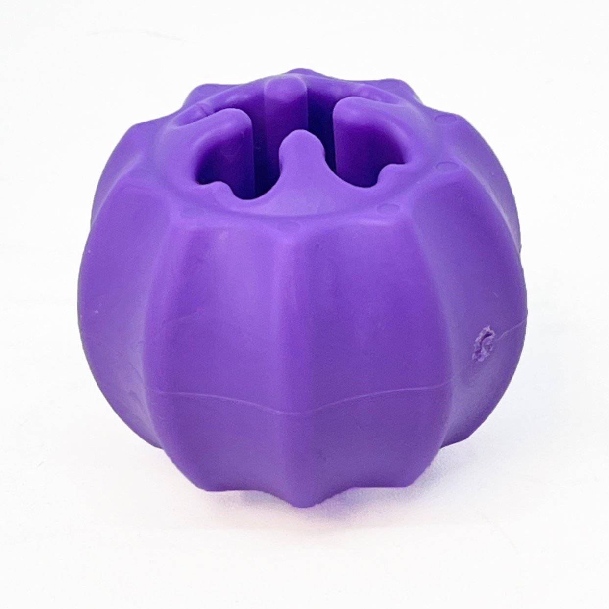Cross Bones Chew Toy and Treat Pocket