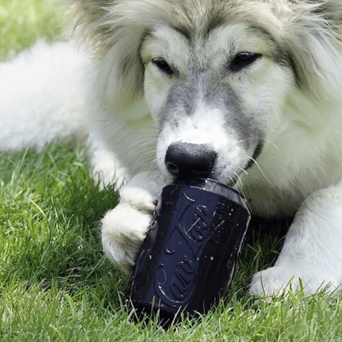 SP Magnum Can Toy eDispenser Ultra Durable Rubber Chew Toy & Treat Dispenser - Power Chewers