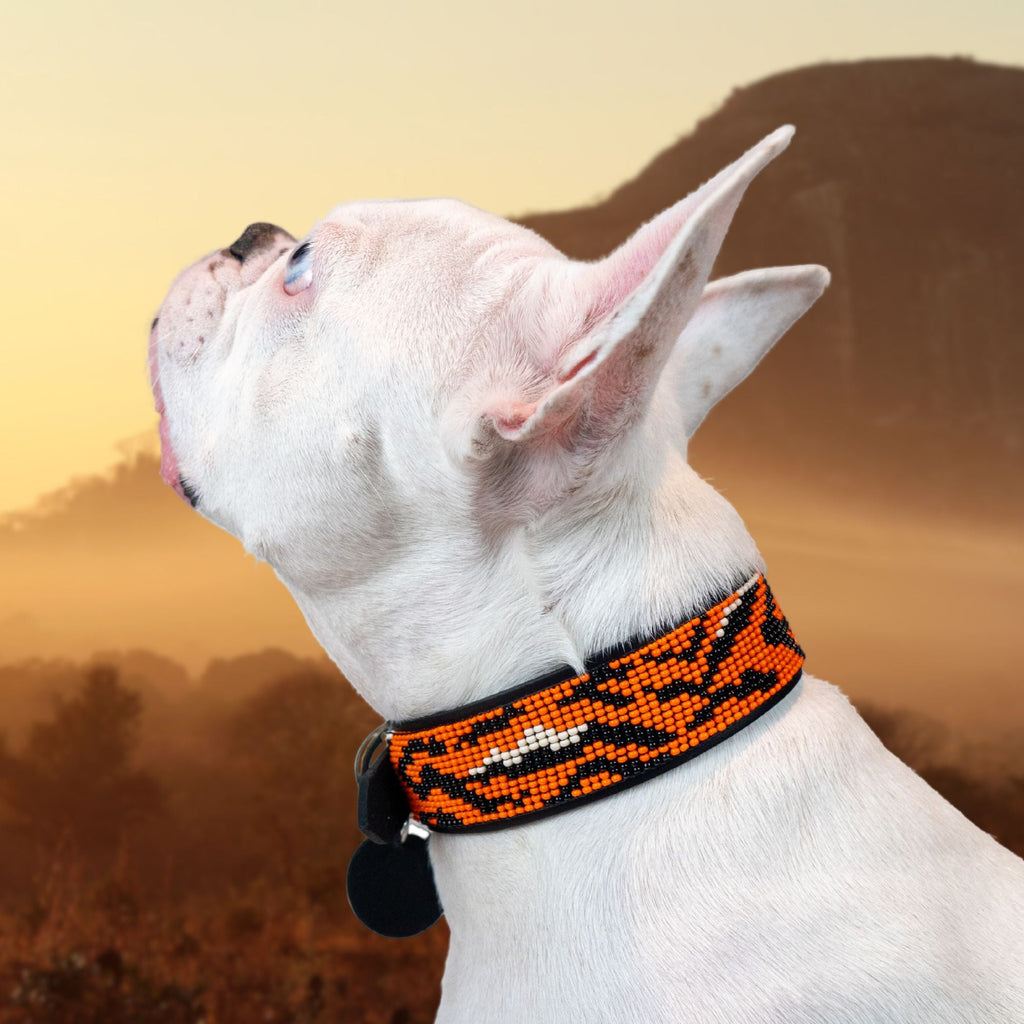 Tiger Sambboho dog collar (animal print collection)