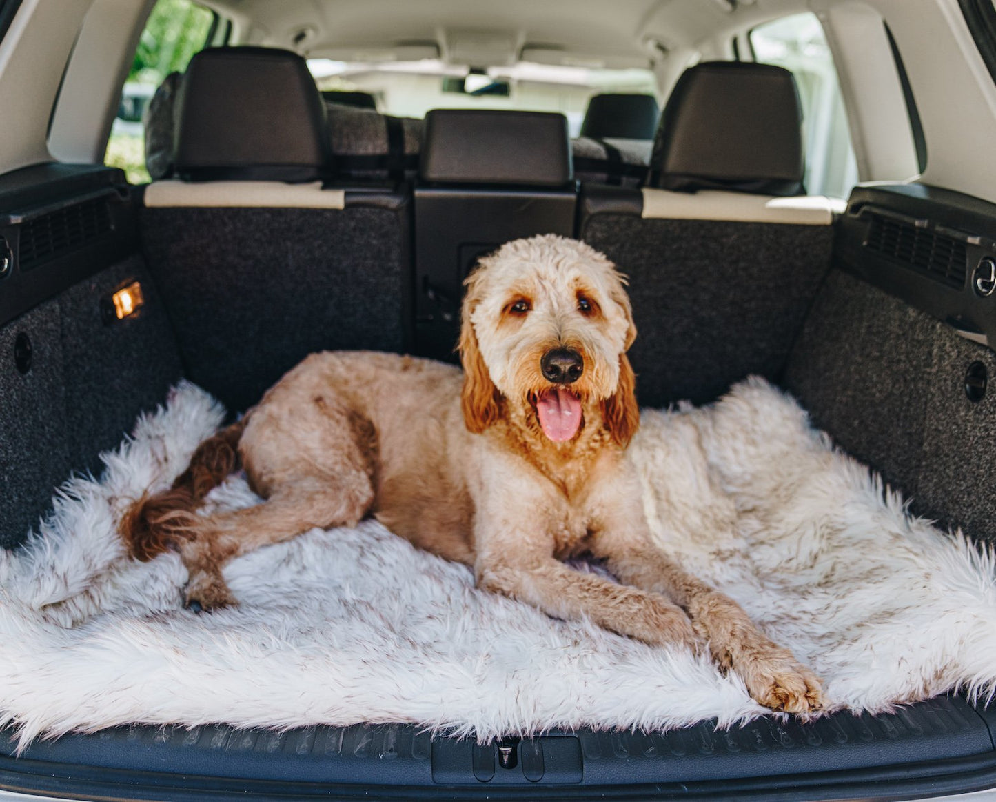 PupRug by Paw.com® Portable Orthopedic Dog Bed - White with Brown Accents