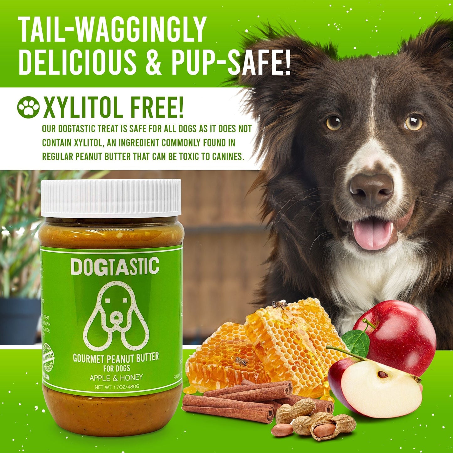 Dogtastic Gourmet Peanut Butter for Dogs - Flax Seed - 25% off